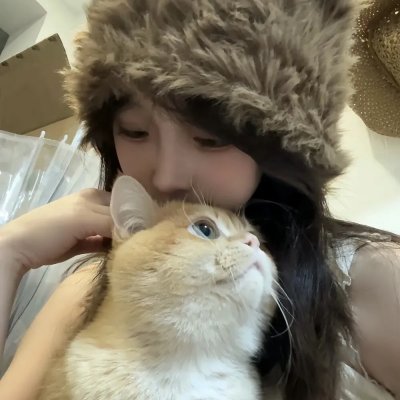 我在六扇门的日子